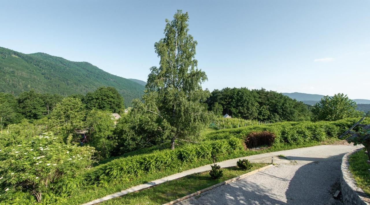 Zidan'Ca Rosel Apartment Доленсле Топлице Екстериор снимка