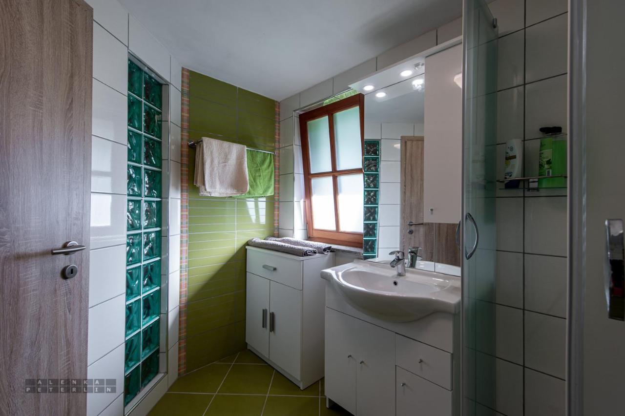Zidan'Ca Rosel Apartment Доленсле Топлице Екстериор снимка
