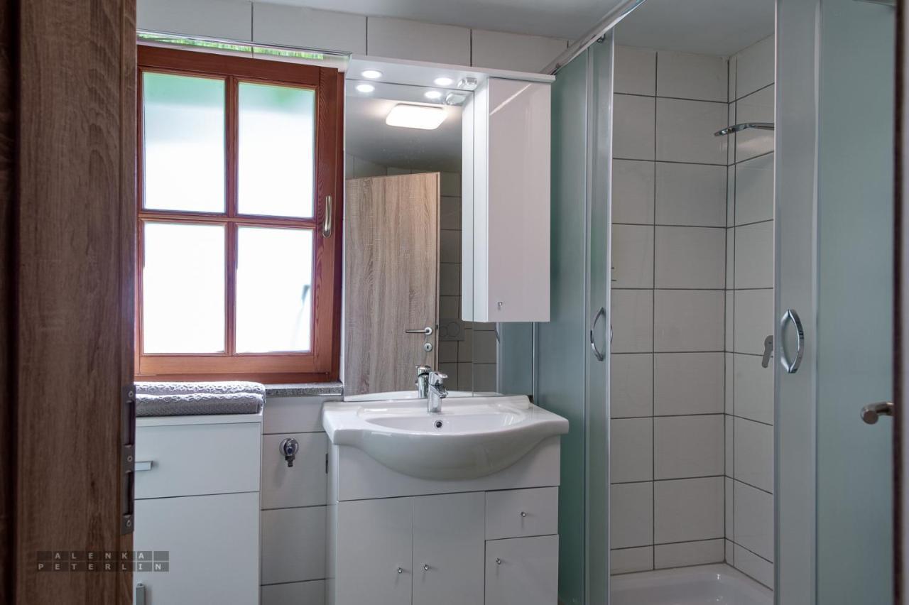 Zidan'Ca Rosel Apartment Доленсле Топлице Екстериор снимка